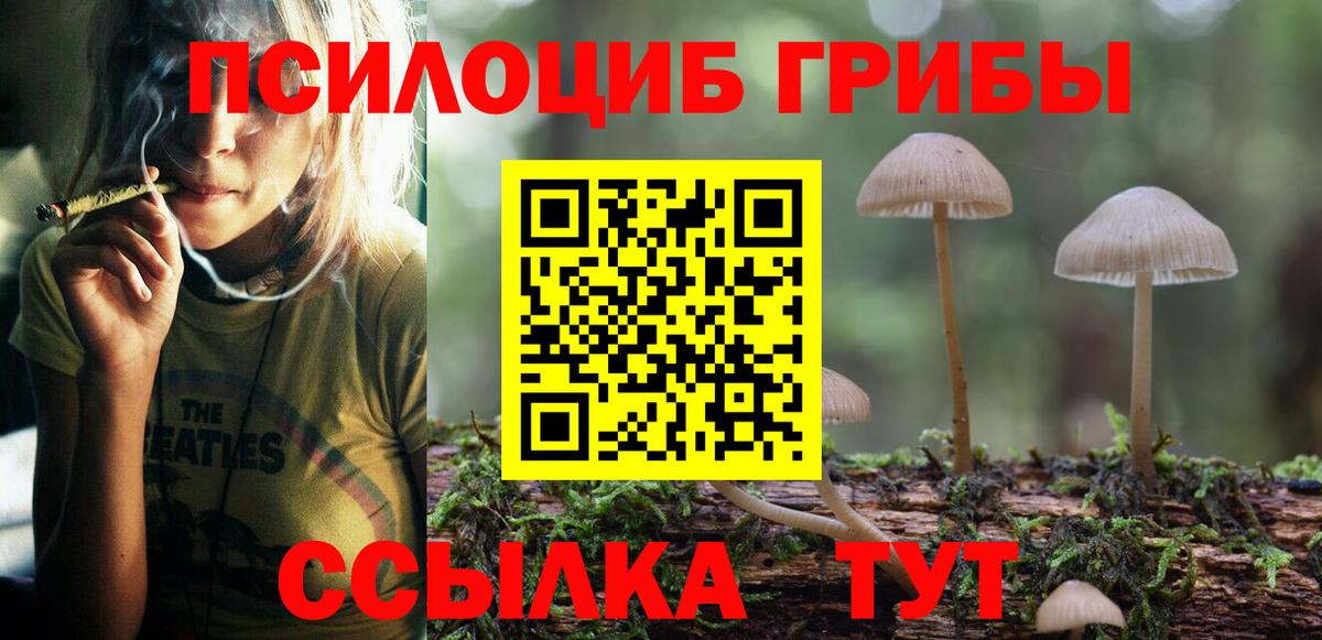 Псилоцибиновые грибы Magic Shrooms  Вход с VPN  Артёмовский  Галлюциногенные грибы ЛСД 